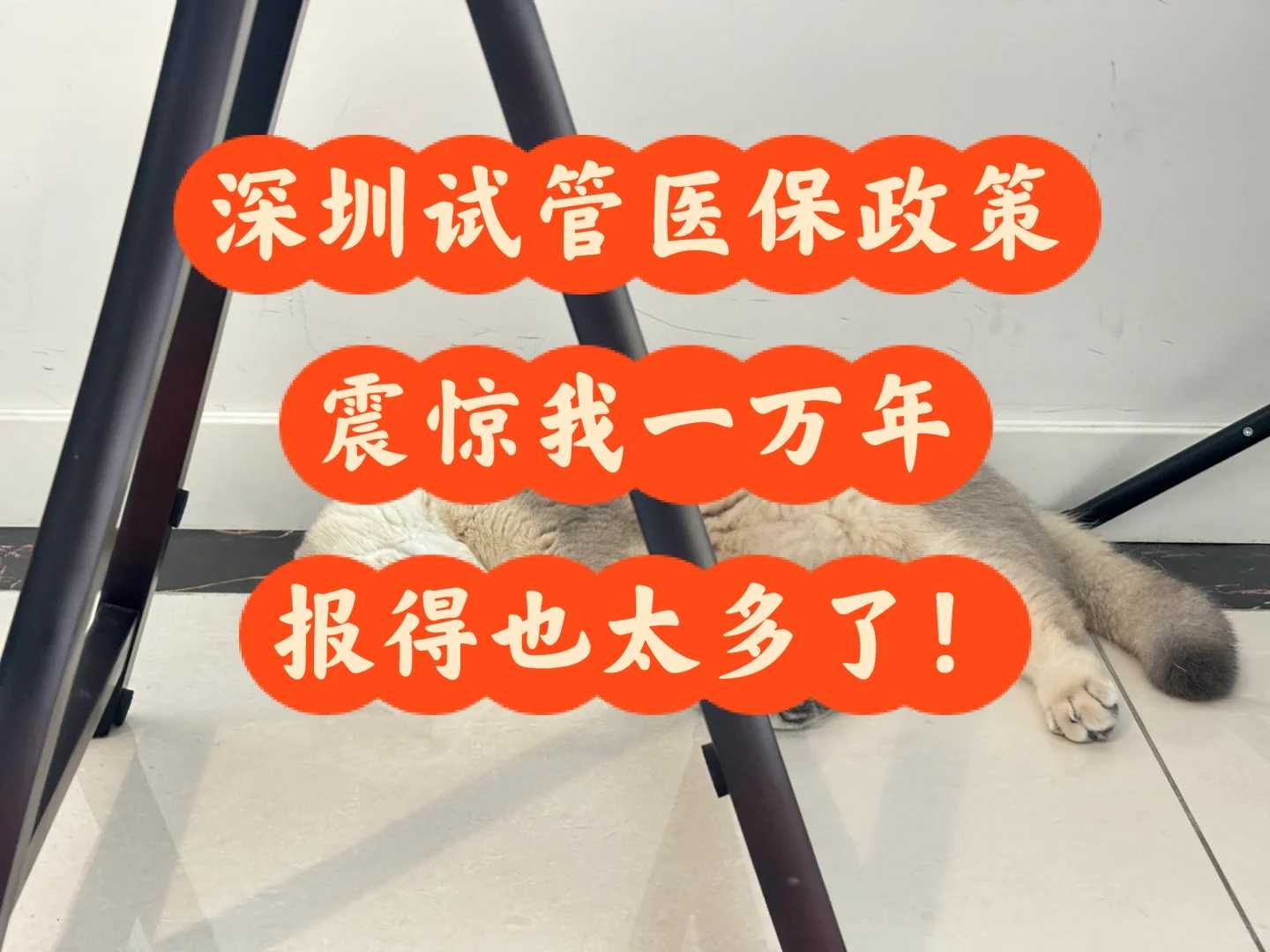 找人代怀生个儿子_代怀生宝宝价钱,试管检查前十天可以去染头发吗-试管之前可以染头发吗